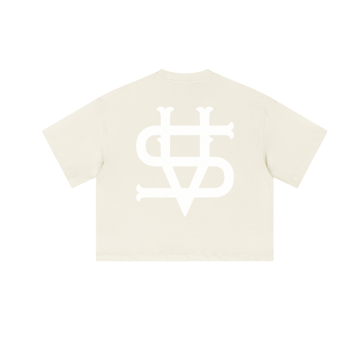 Vinnichi Unisex Heavyweight Cropped Loose T-Shirt (280GSM)