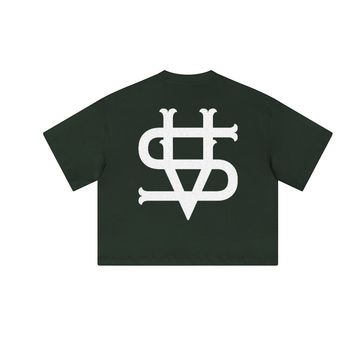 Vinnichi Unisex Heavyweight Cropped Loose T-Shirt (280GSM)